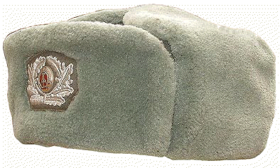 Chapka Officier arme de terre