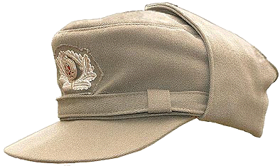 Officier arme de terre hiver